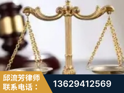 定西-委托诉讼代理人出庭
